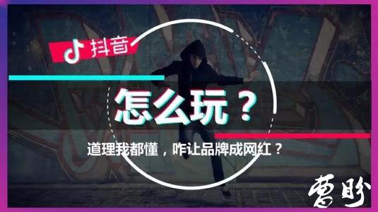 千万粉丝操盘手教你如何做抖音-曹盼网络工作室